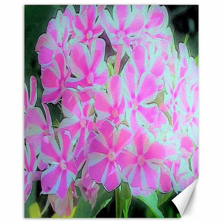 Hot Pink And White Peppermint Twist Garden Phlox Canvas 16  x 20 