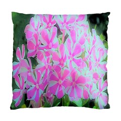 Hot Pink And White Peppermint Twist Garden Phlox Standard Cushion Case (two Sides) by myrubiogarden