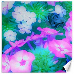 Pink, Green, Blue And White Garden Phlox Flowers Canvas 12  X 12 