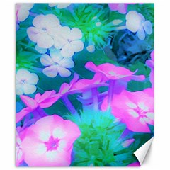 Pink, Green, Blue And White Garden Phlox Flowers Canvas 20  X 24 