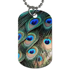 Peacock Feathers Bird Colorful Dog Tag (one Side) by Wegoenart