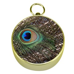 Peacock Tail Feathers Gold Compasses by Wegoenart