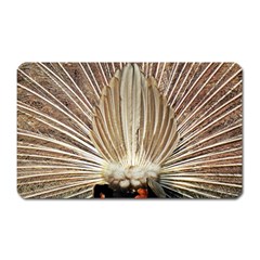 Peacock Wheel Bird Nature Magnet (rectangular) by Wegoenart