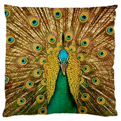 Peacock Feather Bird Peafowl Large Cushion Case (one Side) by Wegoenart