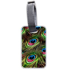 Peacock Feathers Feather Color Luggage Tags (two Sides) by Wegoenart