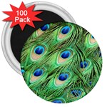 Peacock Feathers Peafowl 3  Magnets (100 pack) Front