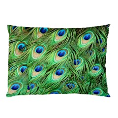 Peacock Feathers Peafowl Pillow Case by Wegoenart