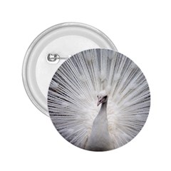 Peacock White Bird Nature 2 25  Buttons by Wegoenart