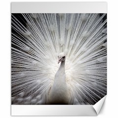Peacock White Bird Nature Canvas 8  X 10  by Wegoenart
