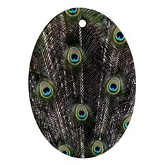 Background Peacock Feathers Ornament (oval) by Wegoenart
