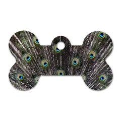 Background Peacock Feathers Dog Tag Bone (one Side) by Wegoenart