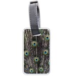 Background Peacock Feathers Luggage Tags (One Side)  Front