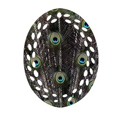 Background Peacock Feathers Ornament (oval Filigree) by Wegoenart