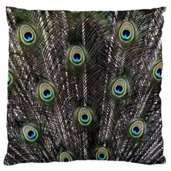 Background Peacock Feathers Large Cushion Case (one Side) by Wegoenart