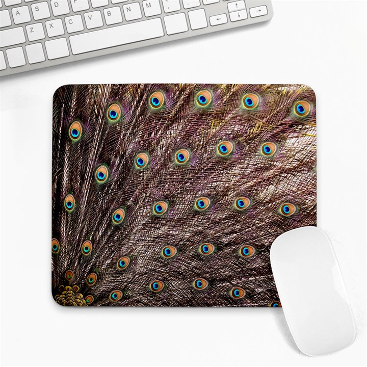 Peacock Feathers Wheel Plumage Large Mousepads