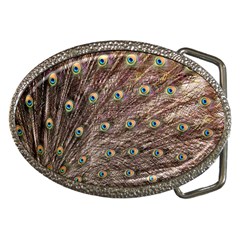 Peacock Feathers Wheel Plumage Belt Buckles by Wegoenart