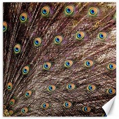 Peacock Feathers Wheel Plumage Canvas 20  X 20  by Wegoenart