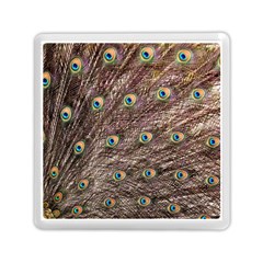 Peacock Feathers Wheel Plumage Memory Card Reader (square) by Wegoenart