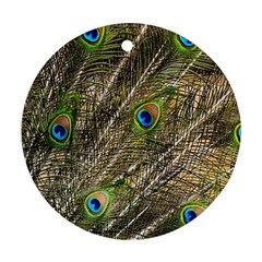 Peacock Feathers Color Plumag Ornament (round)