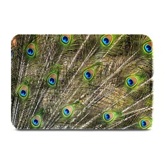 Peacock Feathers Color Plumag Plate Mats by Wegoenart