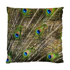 Peacock Feathers Color Plumag Standard Cushion Case (two Sides) by Wegoenart