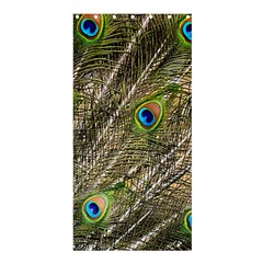 Peacock Feathers Color Plumag Shower Curtain 36  X 72  (stall)  by Wegoenart