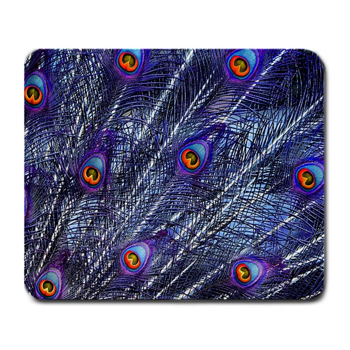 Peacock Feathers Color Plumage Large Mousepads