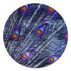 Peacock Feathers Color Plumage Magnet 5  (round) by Wegoenart