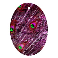 Peacock Feathers Color Plumage Oval Ornament (two Sides) by Wegoenart