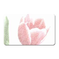 Tulip Red And White Pen Drawing Magnet (rectangular) by picsaspassion