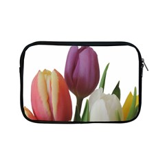 Tulips Bouquet Apple Ipad Mini Zipper Cases by picsaspassion