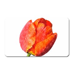 Red Tulip, Watercolor Art Magnet (rectangular) by picsaspassion
