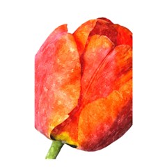 Red Tulip, Watercolor Art Shower Curtain 48  X 72  (small)  by picsaspassion