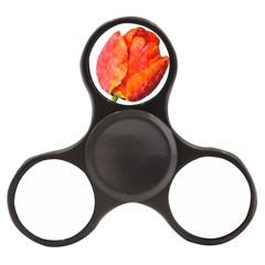 Red Tulip, Watercolor Art Finger Spinner by picsaspassion
