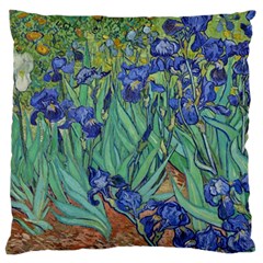 Antique Art Artwork Bloom Blooming Large Cushion Case (two Sides) by Wegoenart