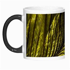 Feather Macro Bird Plumage Nature Morph Mugs by Wegoenart