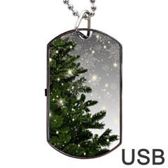 Christmas Fir Tree Mockup Star Dog Tag Usb Flash (two Sides) by Wegoenart