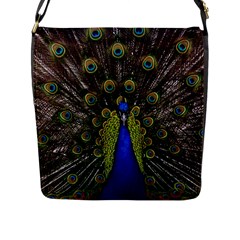 Peacock Bird Plumage Display Full Flap Closure Messenger Bag (l) by Wegoenart