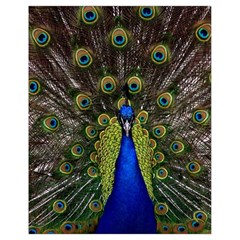 Peacock Bird Plumage Display Full Drawstring Bag (small) by Wegoenart