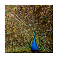 Peacock Plumage Bird Peafowl Face Towel by Wegoenart