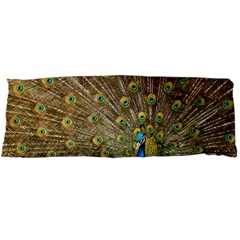 Peacock Plumage Bird Peafowl Body Pillow Case Dakimakura (two Sides) by Wegoenart