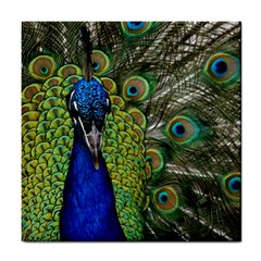 Peacock Close Up Plumage Bird Head Tile Coasters by Wegoenart