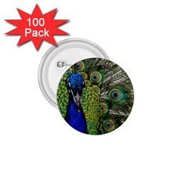 Peacock Close Up Plumage Bird Head 1 75  Buttons (100 Pack)  by Wegoenart