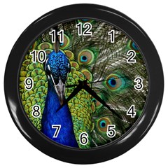 Peacock Close Up Plumage Bird Head Wall Clock (black) by Wegoenart