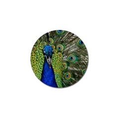 Peacock Close Up Plumage Bird Head Golf Ball Marker (4 Pack) by Wegoenart