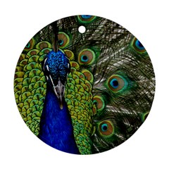 Peacock Close Up Plumage Bird Head Round Ornament (two Sides) by Wegoenart