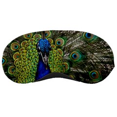 Peacock Close Up Plumage Bird Head Sleeping Masks by Wegoenart