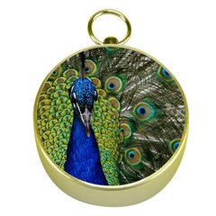 Peacock Close Up Plumage Bird Head Gold Compasses by Wegoenart