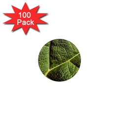 Green Leaf Giant Rhubarb Mammoth Sheet 1  Mini Magnets (100 Pack)  by Wegoenart