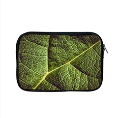 Green Leaf Giant Rhubarb Mammoth Sheet Apple Macbook Pro 15  Zipper Case